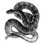 ansuka profile image