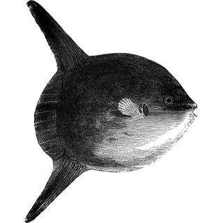 Jeremiah Provost profile picture