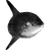 tymmmy profile image