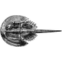 bibek_894 profile image