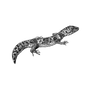 elaoblak_537 profile image