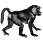 madisons_02 profile image